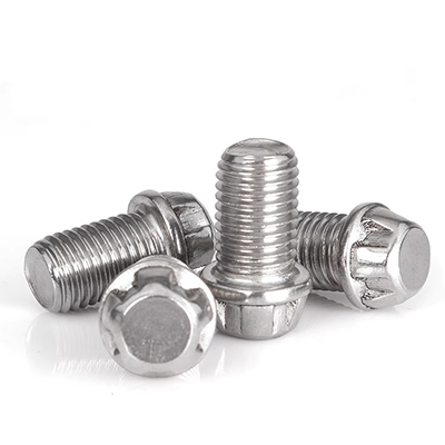 Anti-theft screws High iron ground terminal rail bolts stainless steel