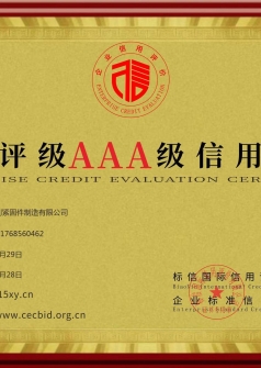 AAA Credit Enterprise